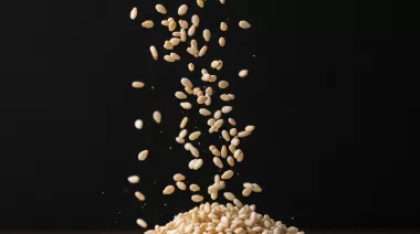 garnishing-instructions-image